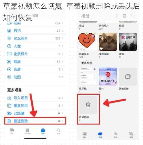 草莓视频怎么恢复_草莓视频删除或丢失后如何恢复