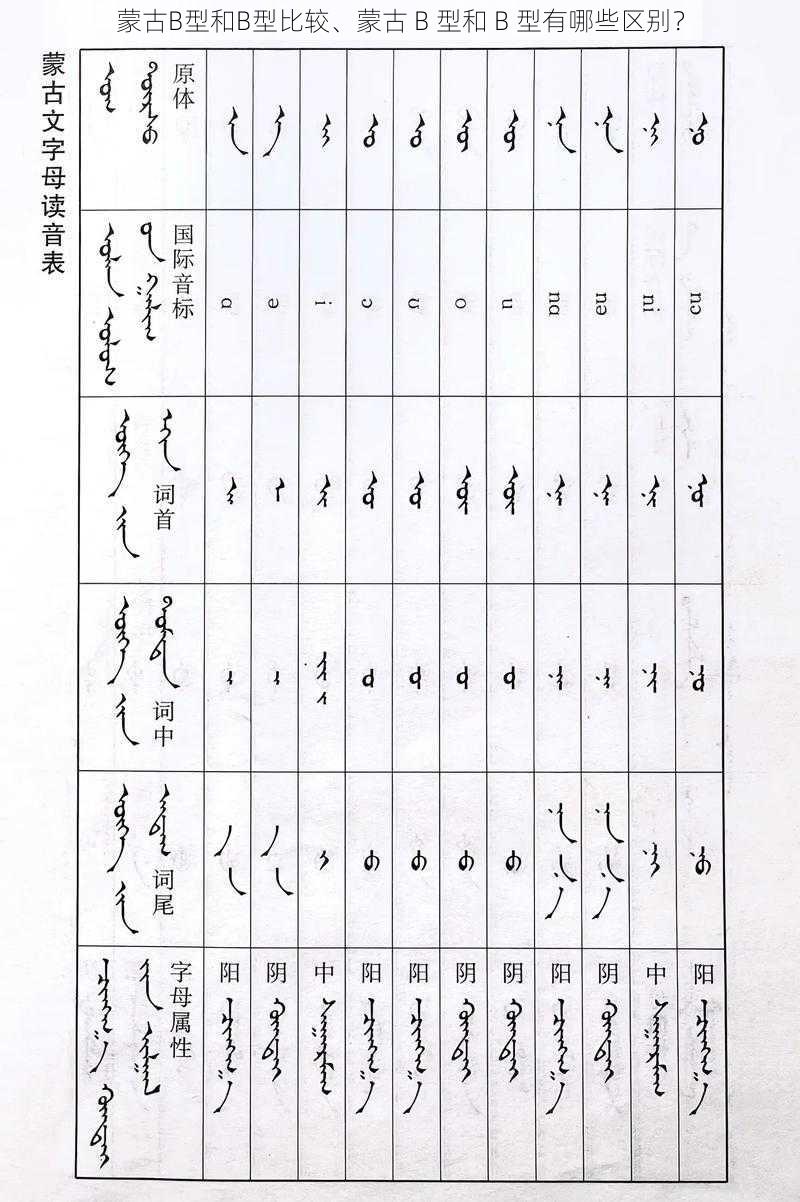 蒙古B型和B型比较、蒙古 B 型和 B 型有哪些区别？