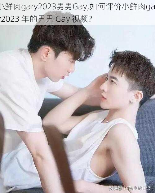 小鲜肉gary2023男男Gay,如何评价小鲜肉gary2023 年的男男 Gay 视频？