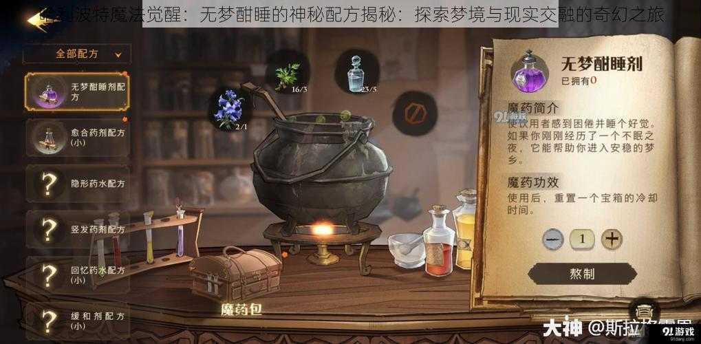 哈利波特魔法觉醒：无梦酣睡的神秘配方揭秘：探索梦境与现实交融的奇幻之旅