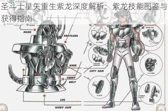 圣斗士星矢重生紫龙深度解析：紫龙技能图鉴与获得指南