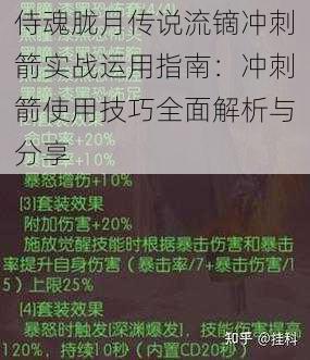 侍魂胧月传说流镝冲刺箭实战运用指南：冲刺箭使用技巧全面解析与分享